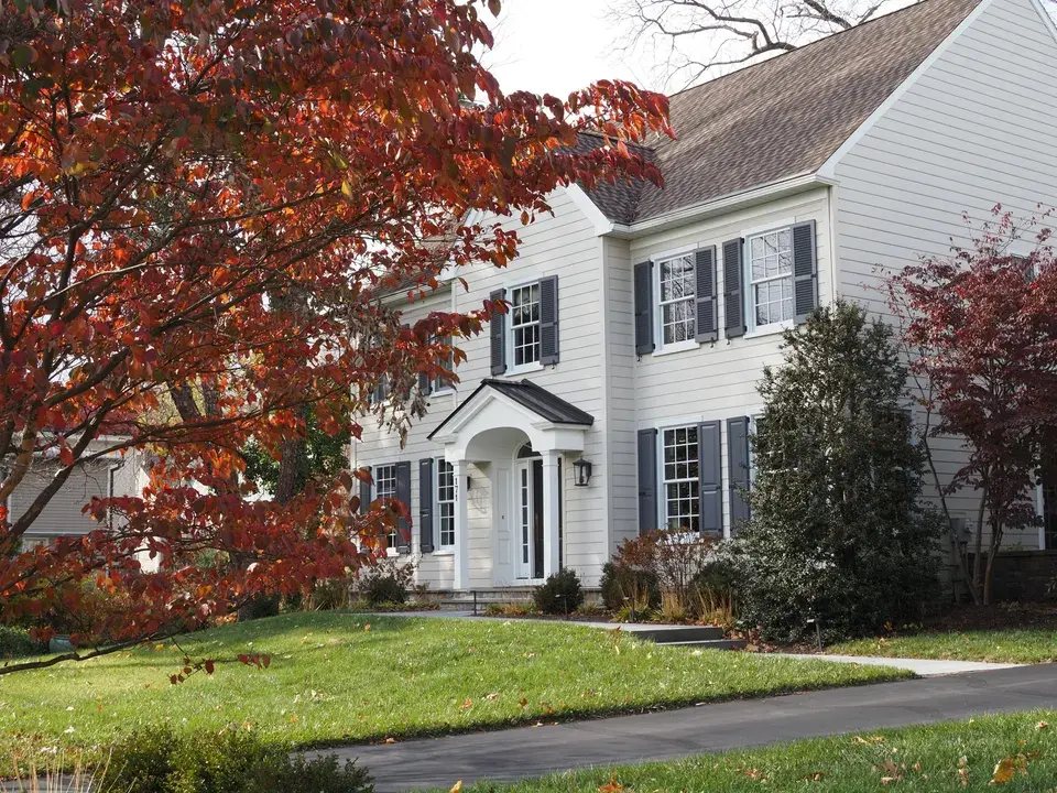 mold removal Rogersville
