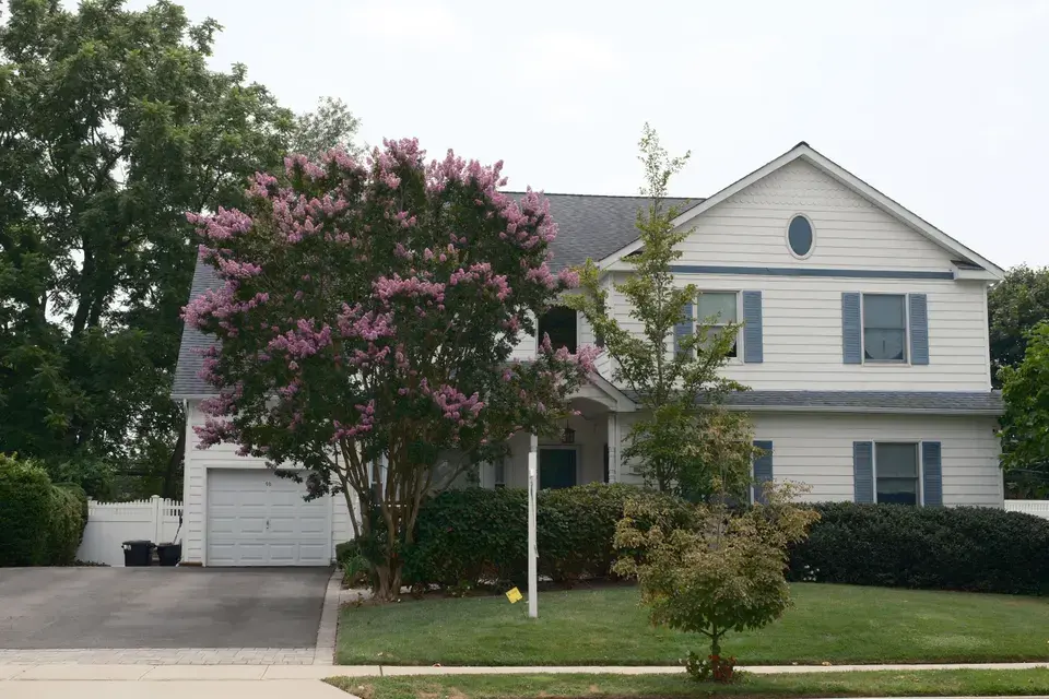 mold removal Strafford